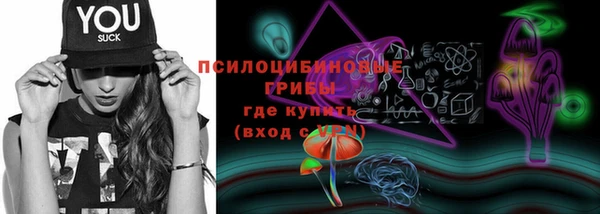 кокс Белокуриха