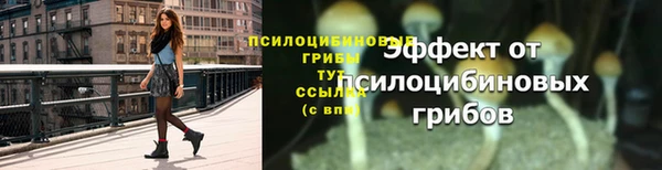гидра Беломорск
