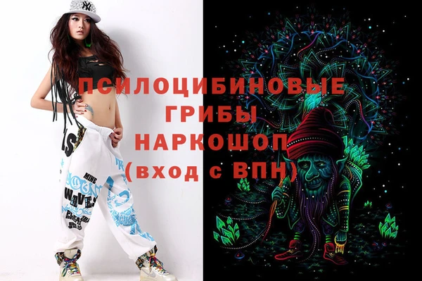 гидра Беломорск