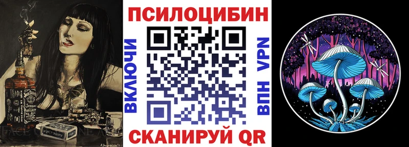 Псилоцибиновые грибы Psilocybine cubensis  Краснокамск 